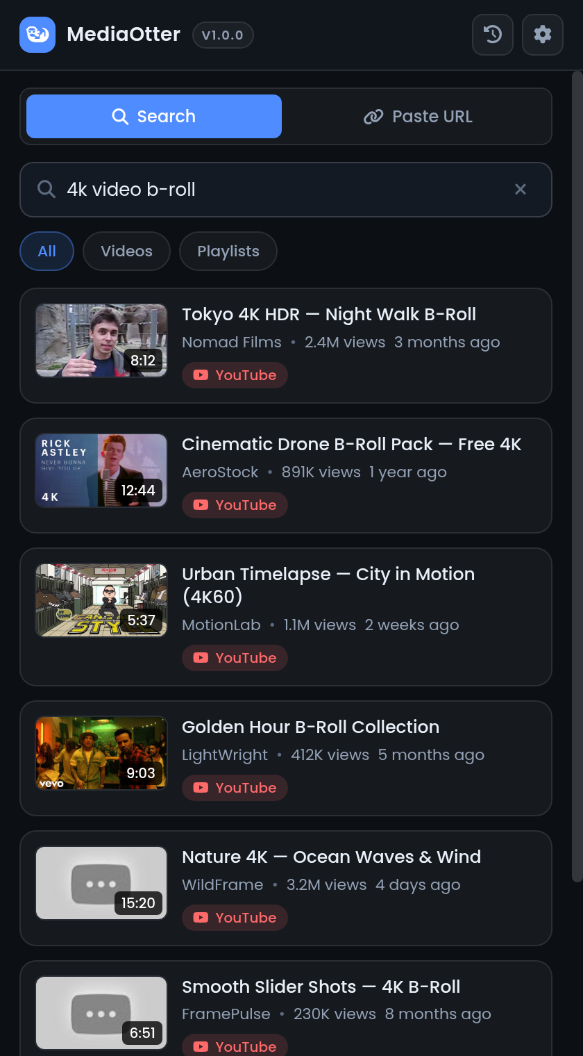 MediaOtter search screen inside Premiere Pro